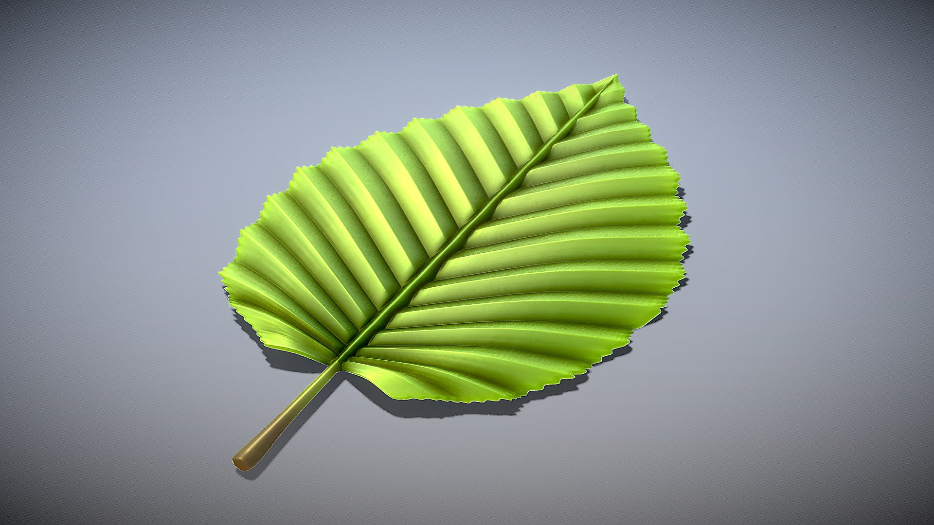 Hornbeam Leaf (High-Poly) 3d model