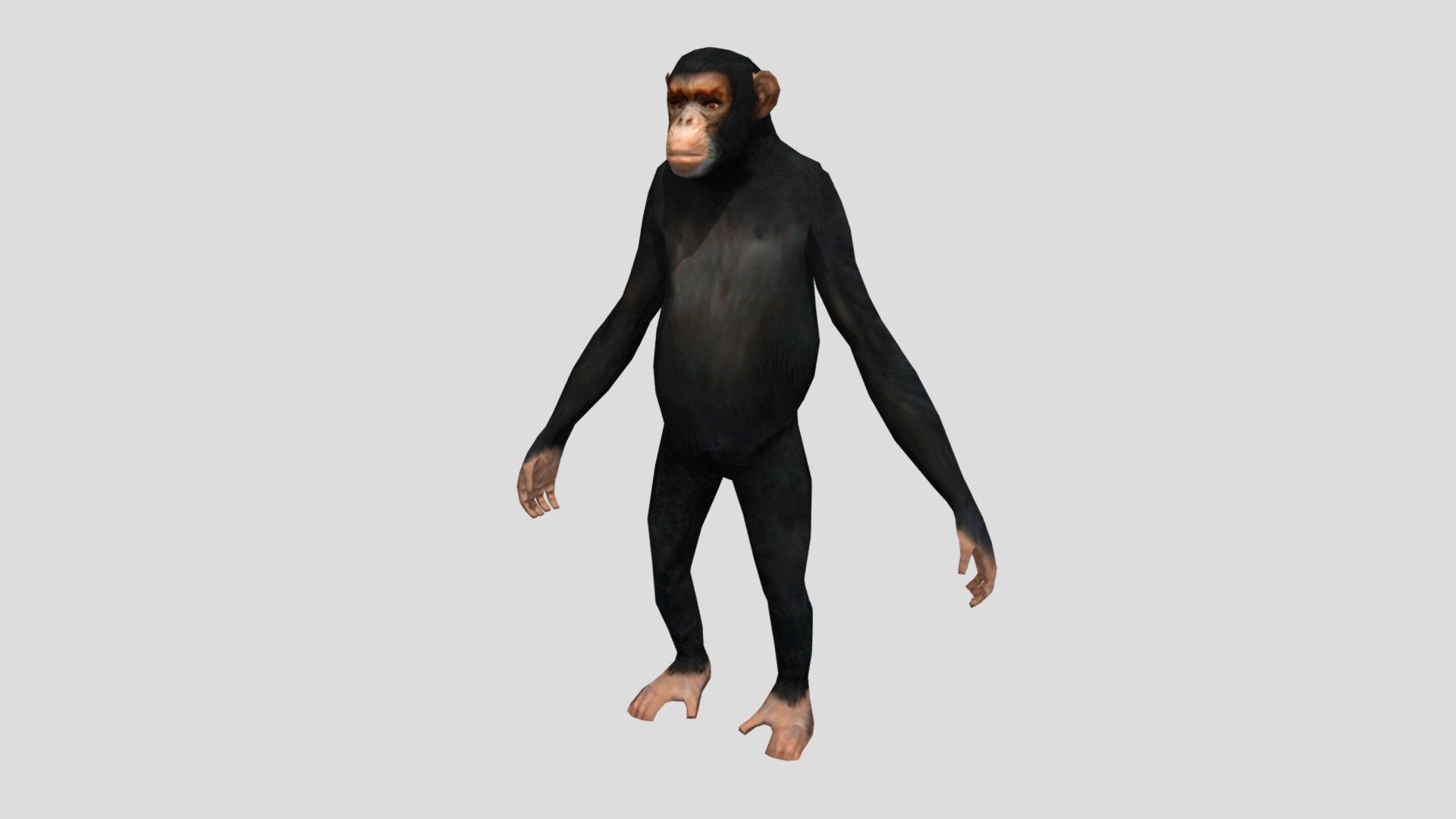 Chimp Rig 3d model