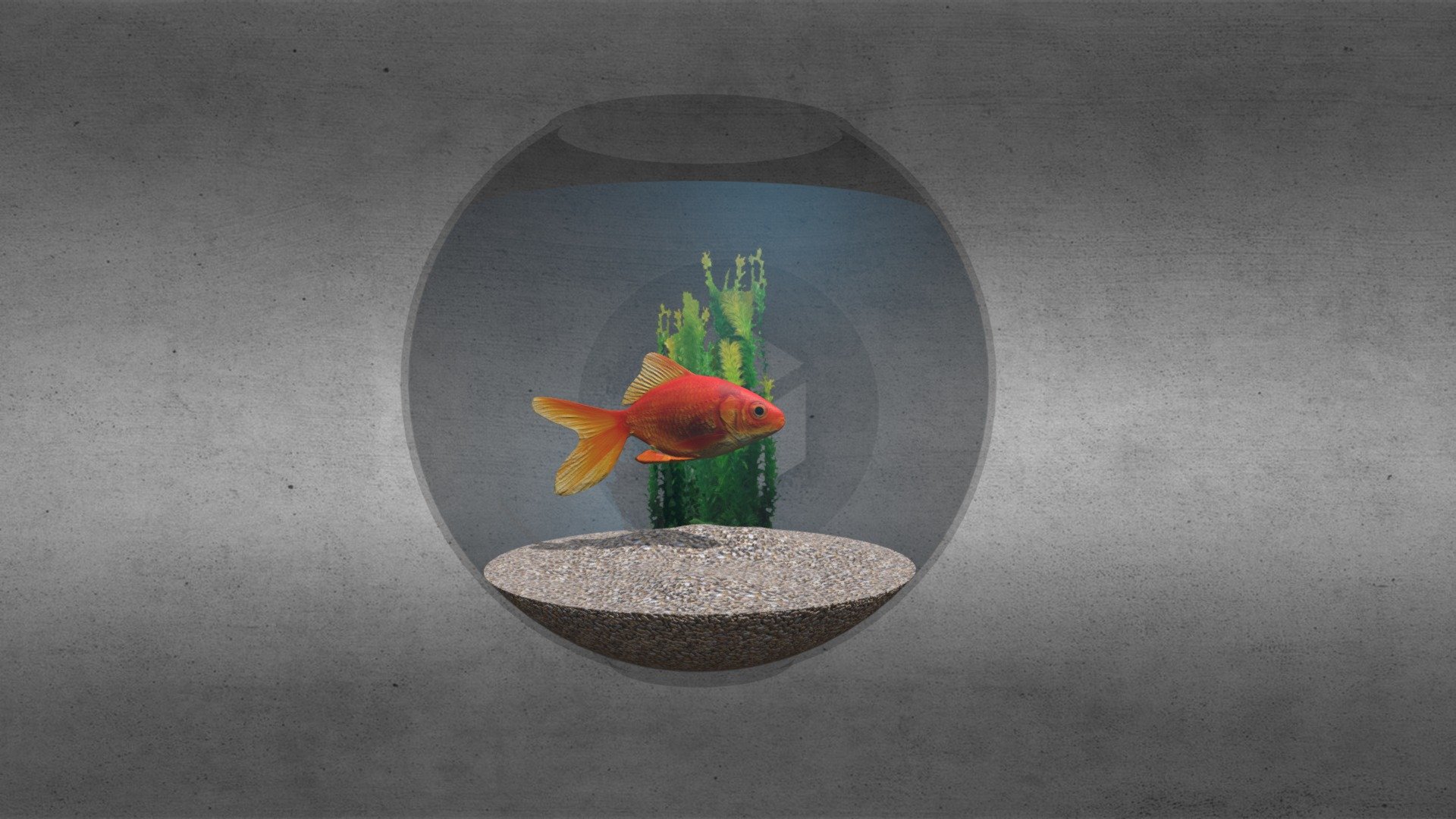 Goldfish Bowl 3d model