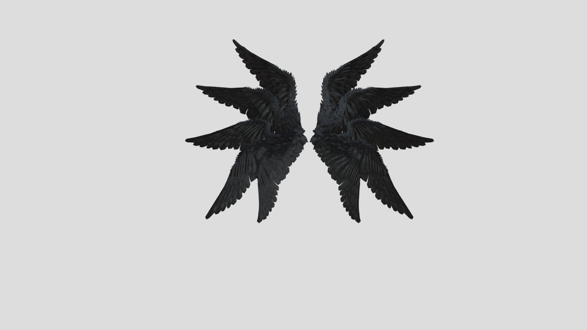 Feathered Wings 3d model