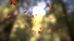 Fall leaves animation