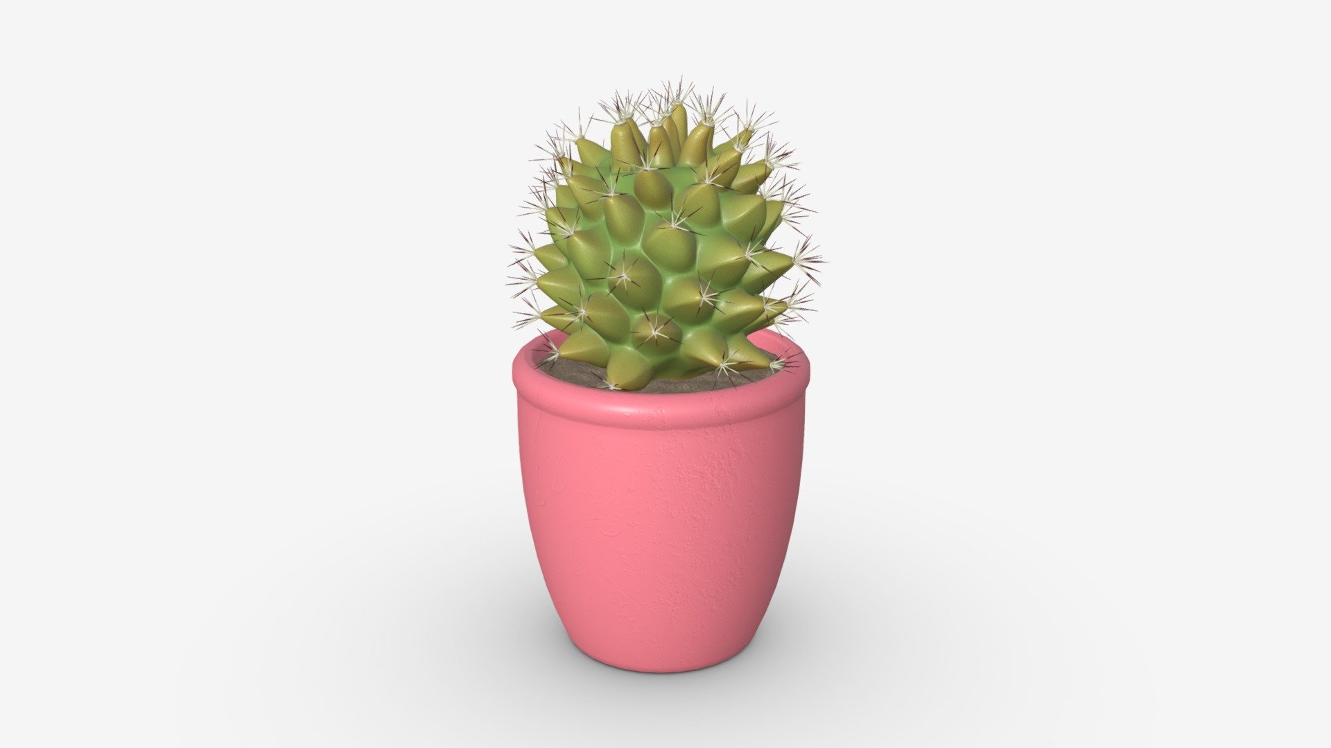 Cactus in pot 3d model