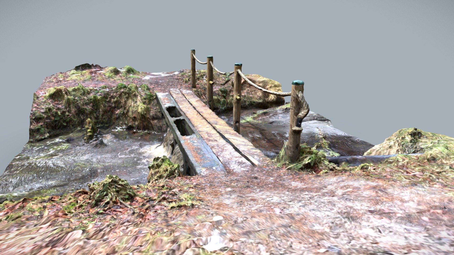 The Forest Bridge 3d model