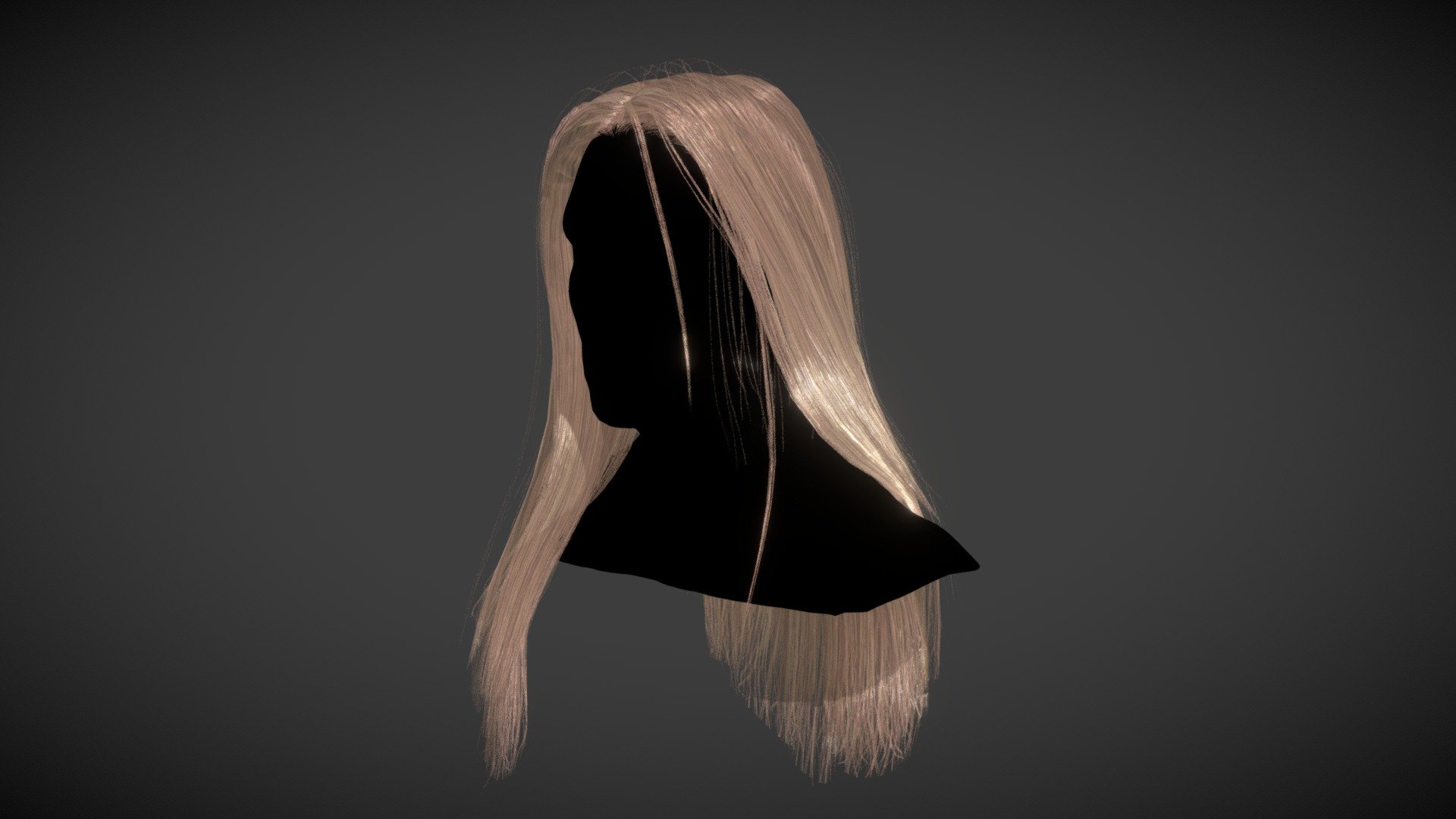 Straight Long Hair Half Over Shoulder 3d model