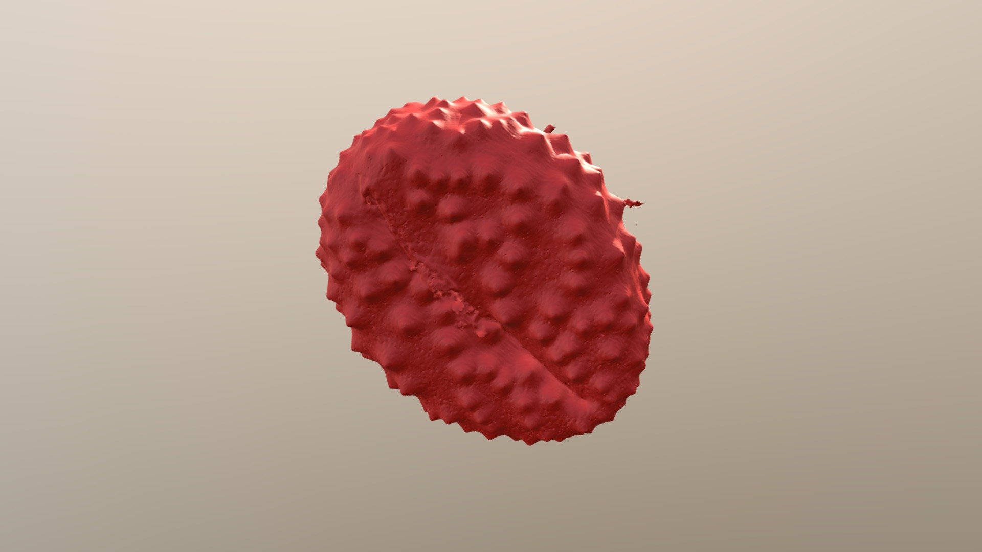 Knapweed pollen 3d model