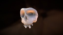 Cartoon Skull Test