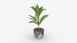 Artificial plant 04