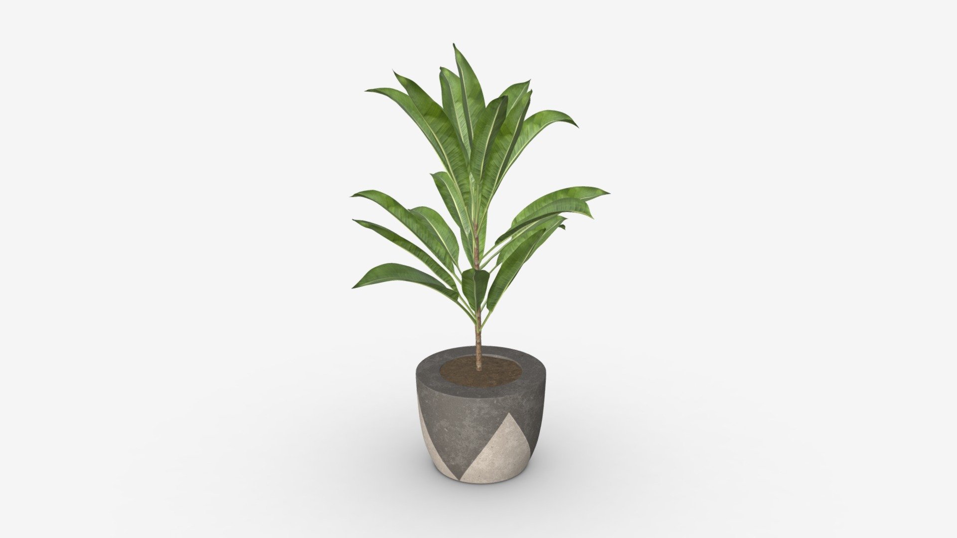 Artificial plant 04 3d model