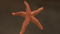 Starfish