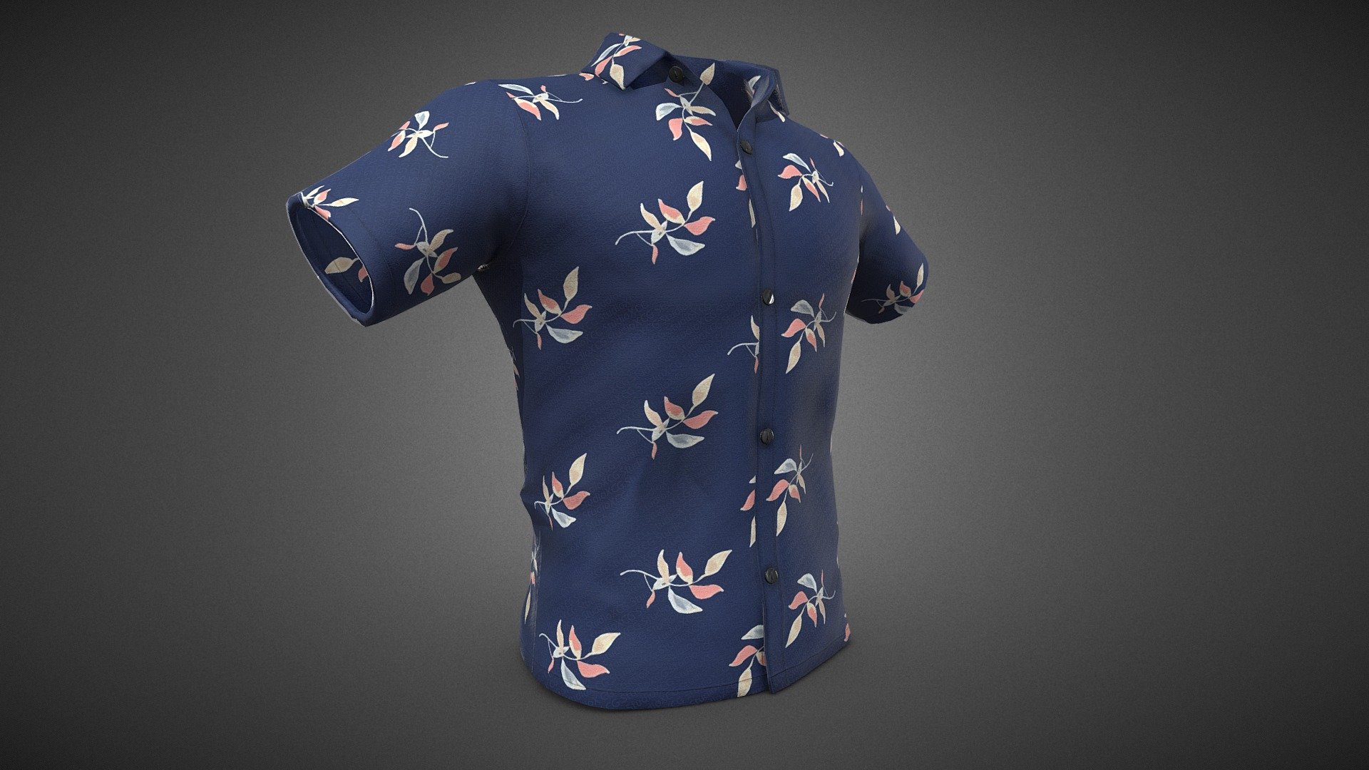 Summer Shirt 2 3d model