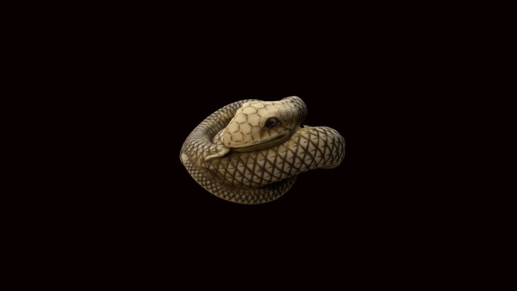 Coiled snake 3d model