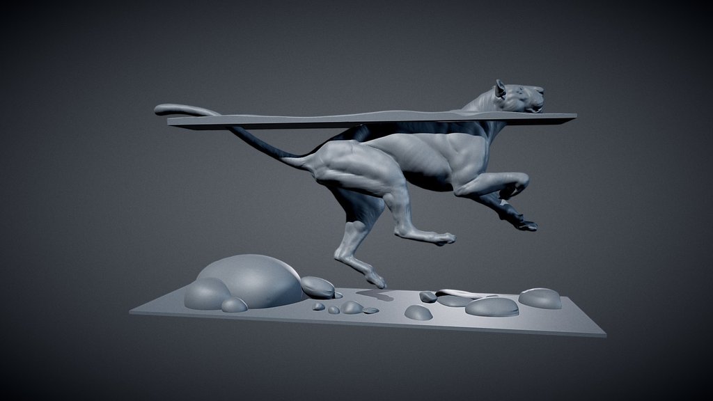 BIG CAT 3d model