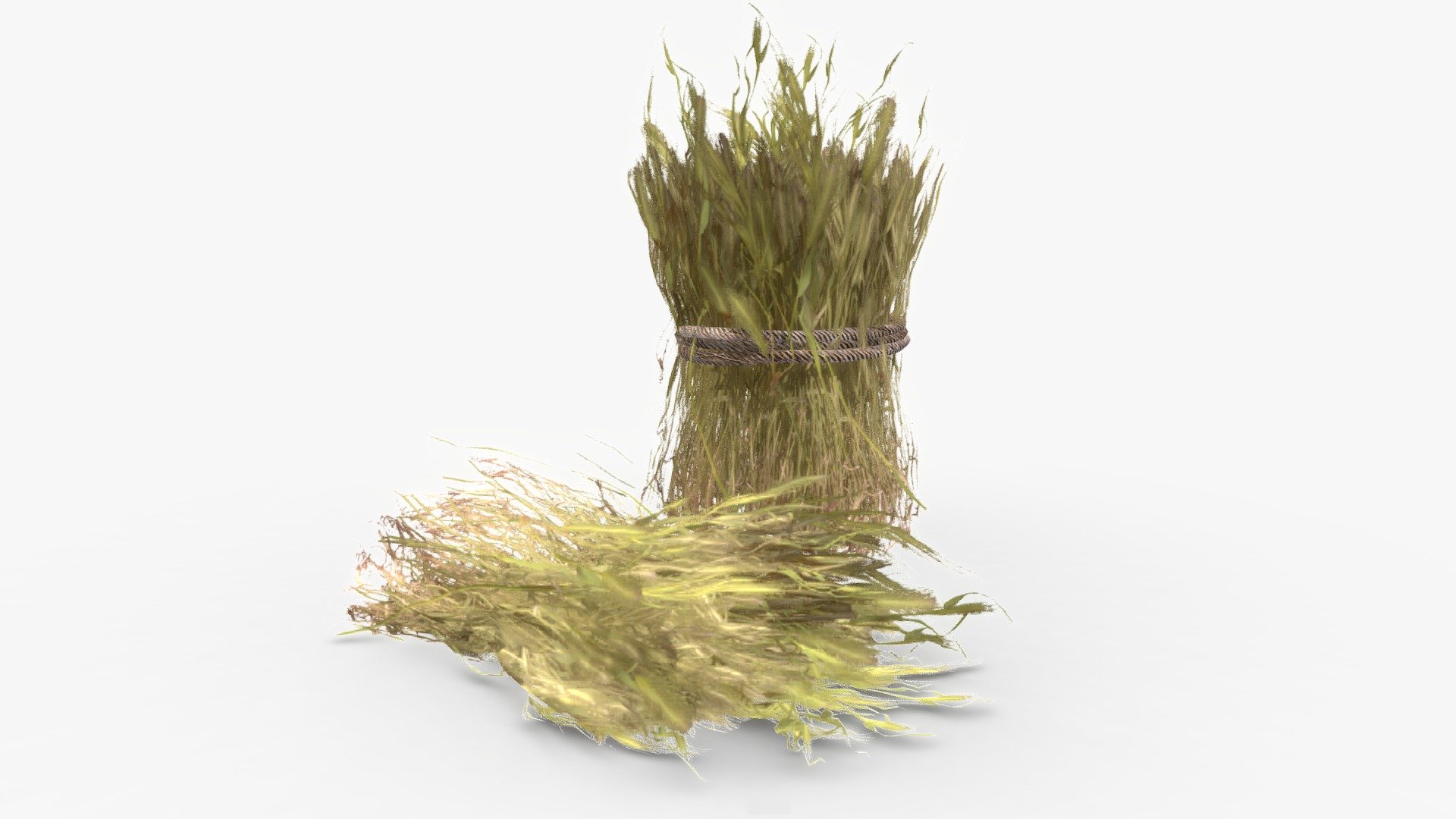 Harvested Barley Rolls 3d model