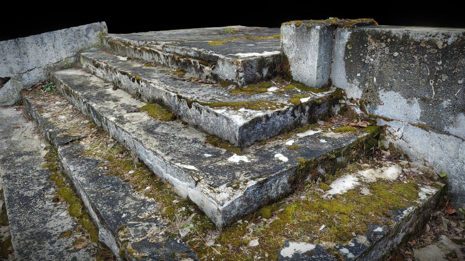 Stary Folwark, Moss Stair, Details 3d model