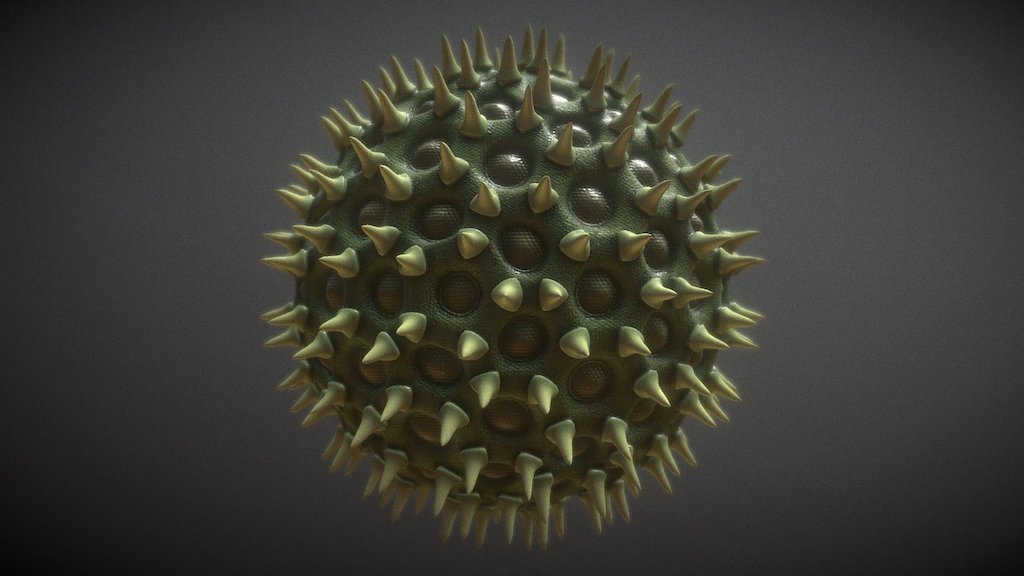 3D Pollen Particle 3d model