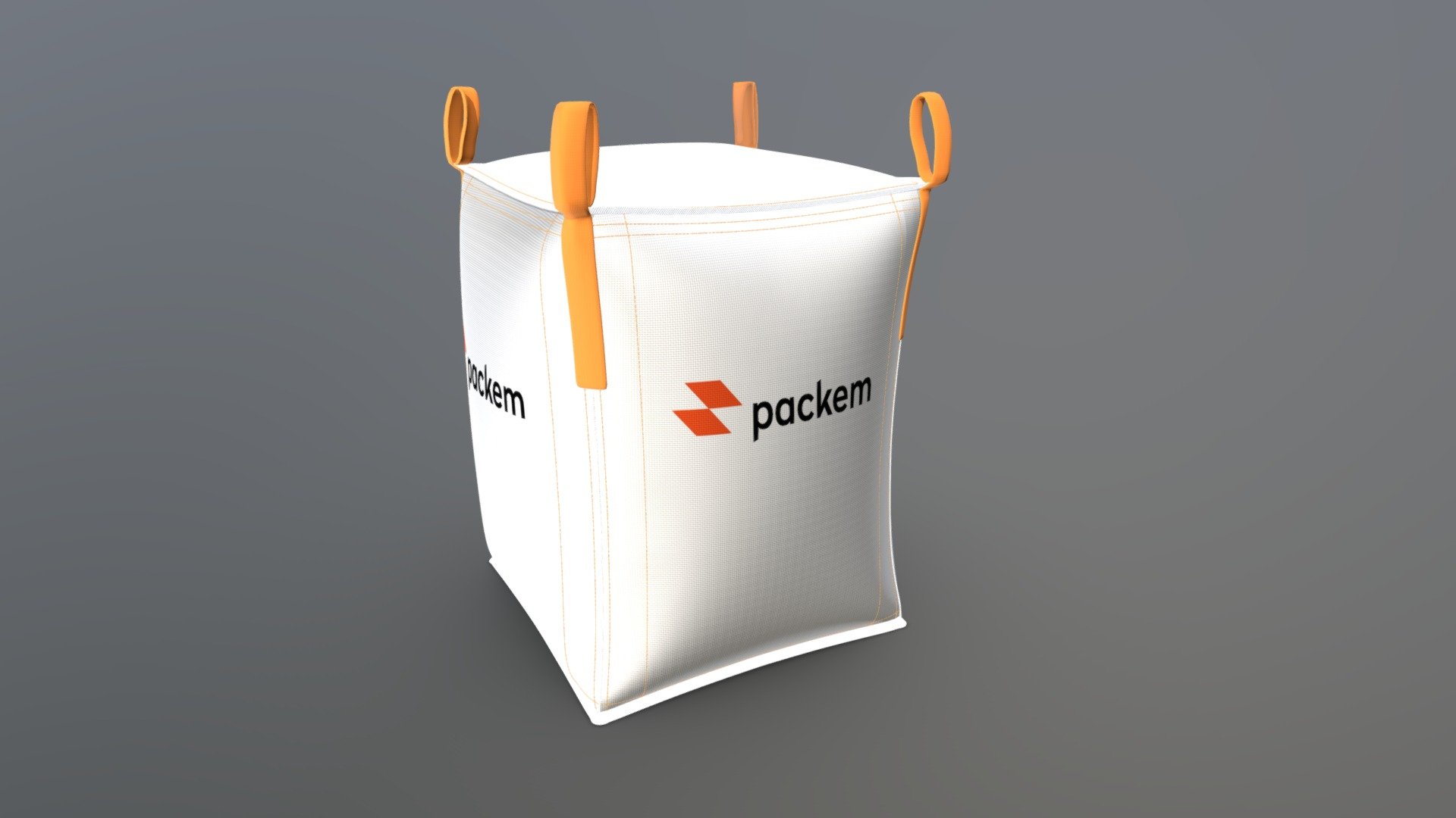 BIG BAG PLANA 3d model