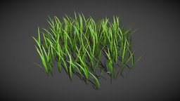 Grass