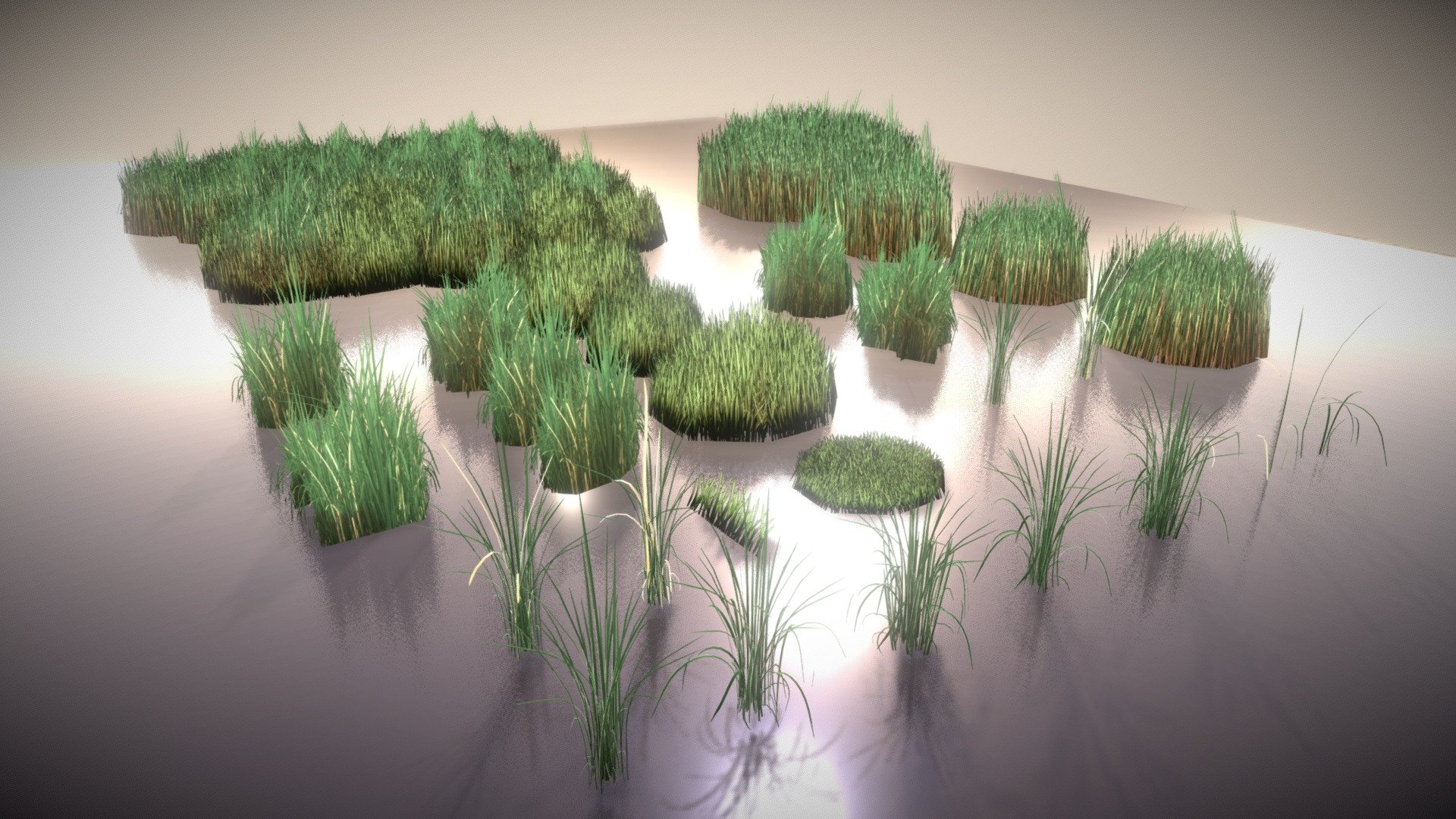 Reeds (Wip-2) 3d model