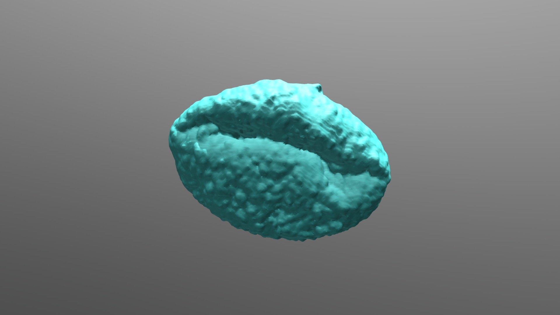 Oak (pedunculate) pollen, dehydrated 3d model