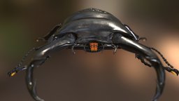 Dorcus hopei binodulosus