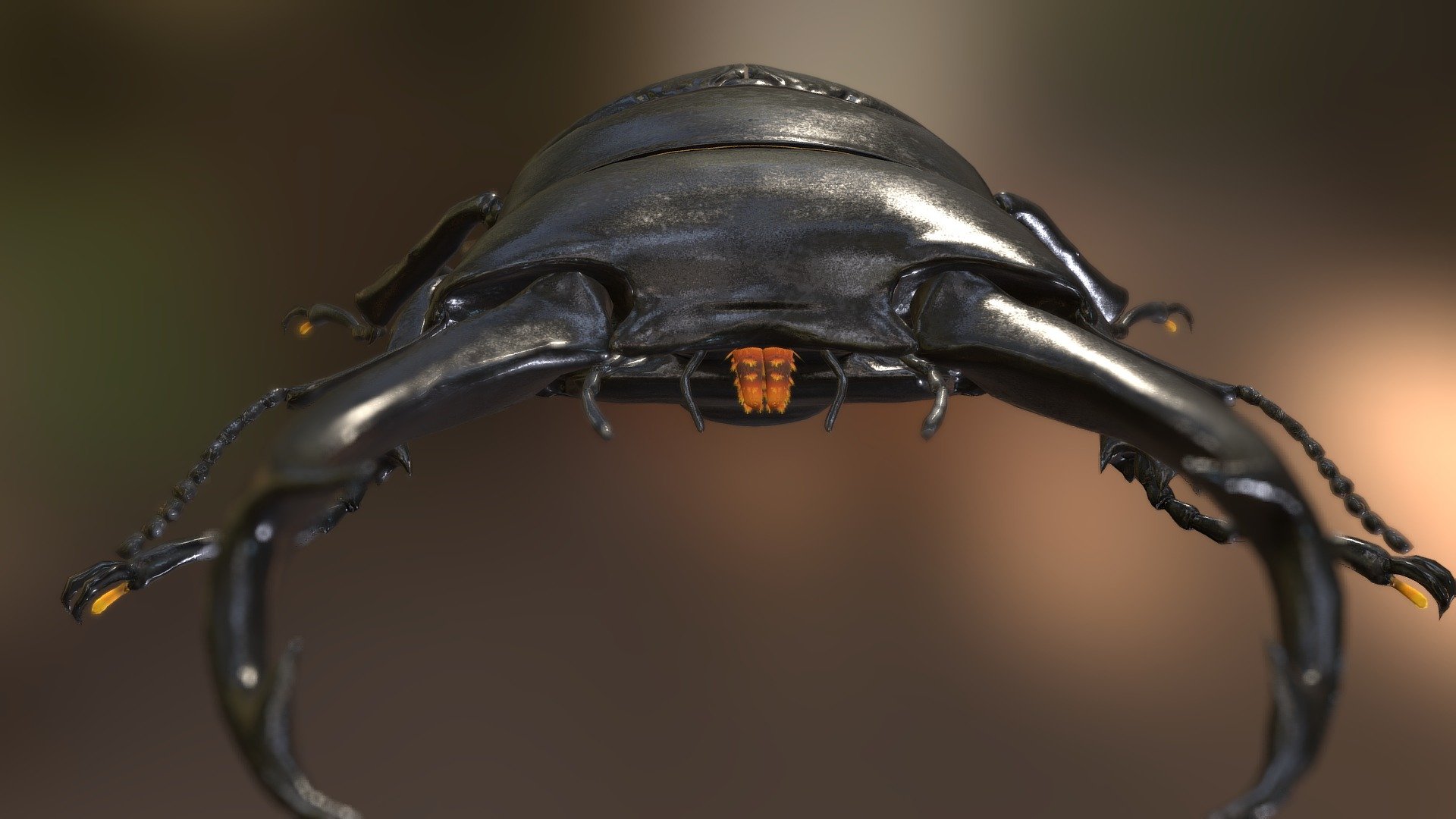 Dorcus hopei binodulosus 3d model