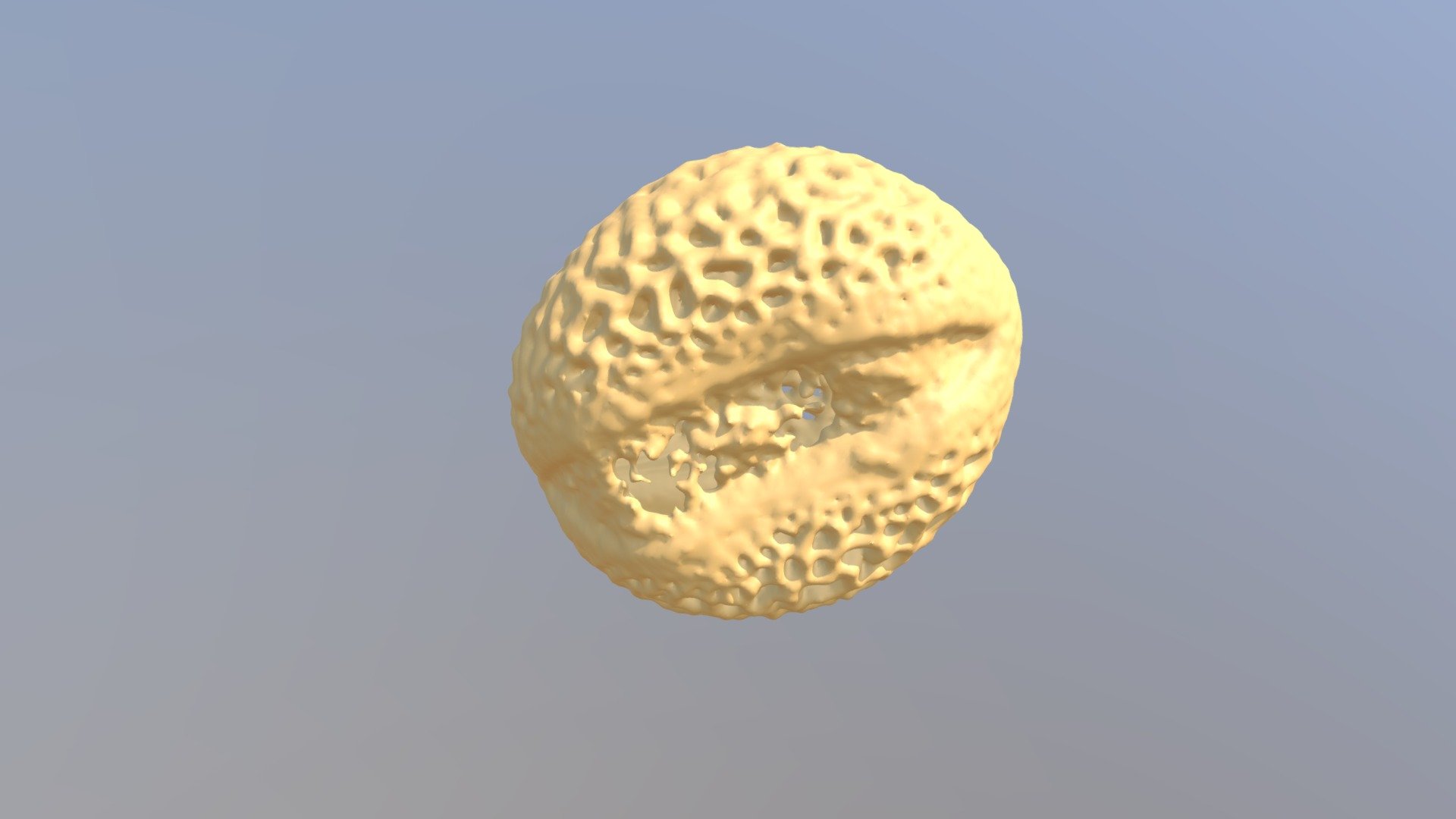 Willow pollen 3d model