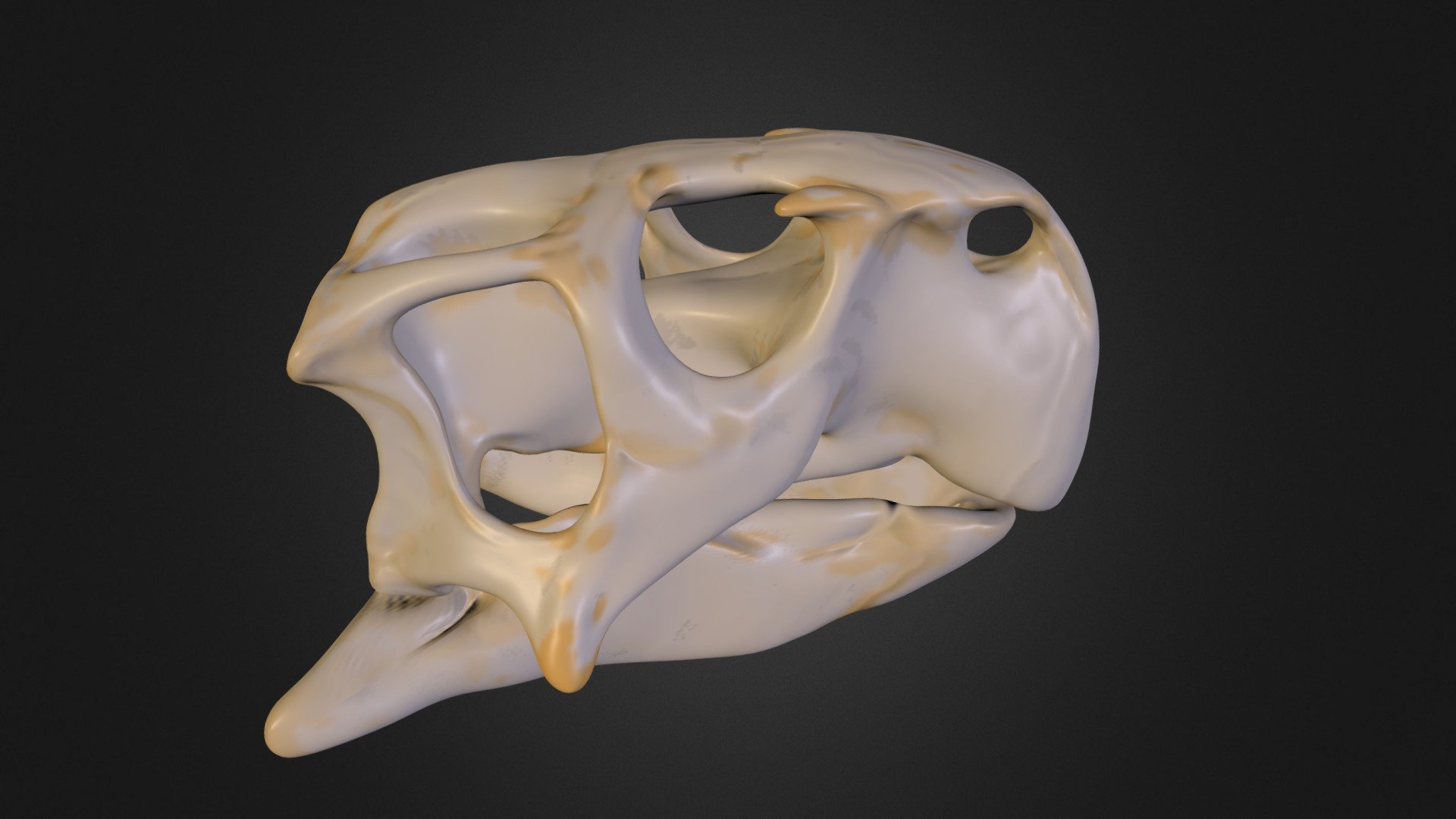 Psittacosaurus mongoliensis wip shape 3d model