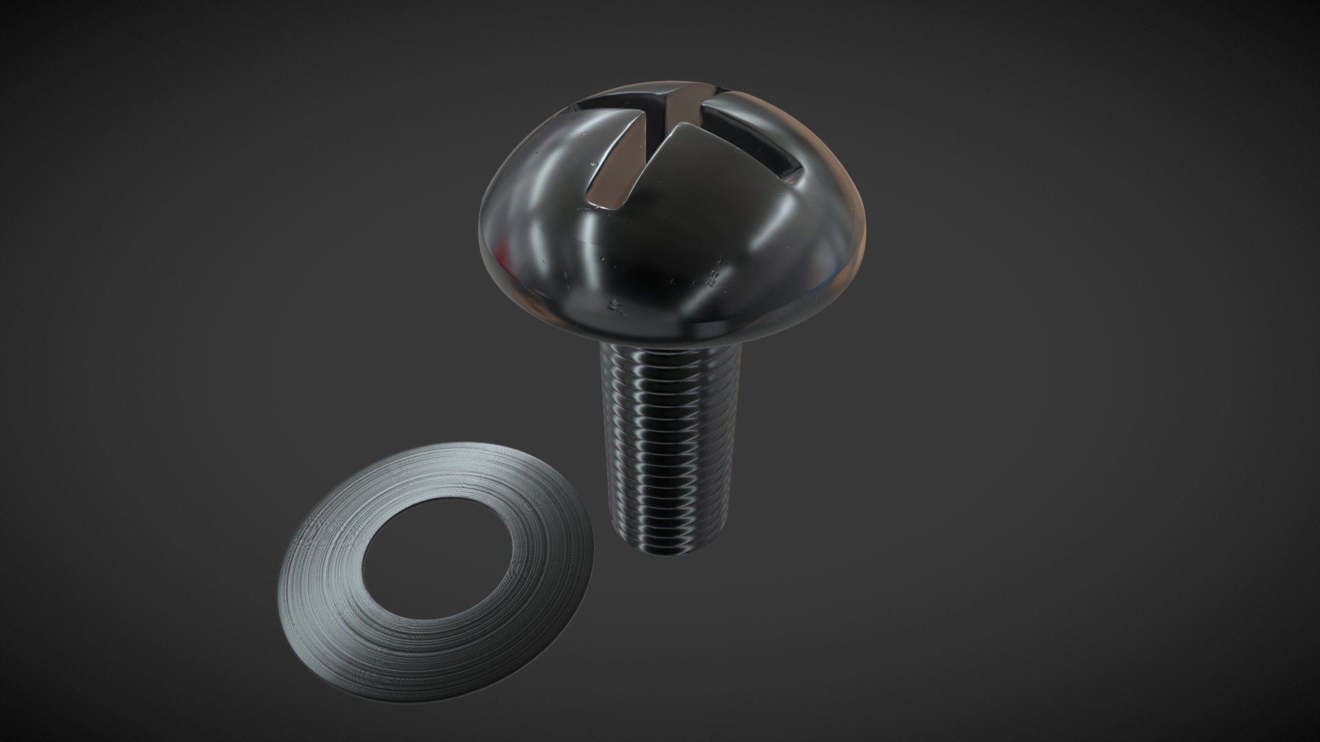 Screw and flat washer 3d model