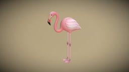 Flamingo