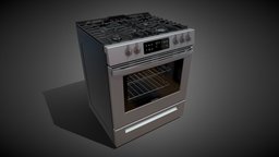 Gas Range Oven 2