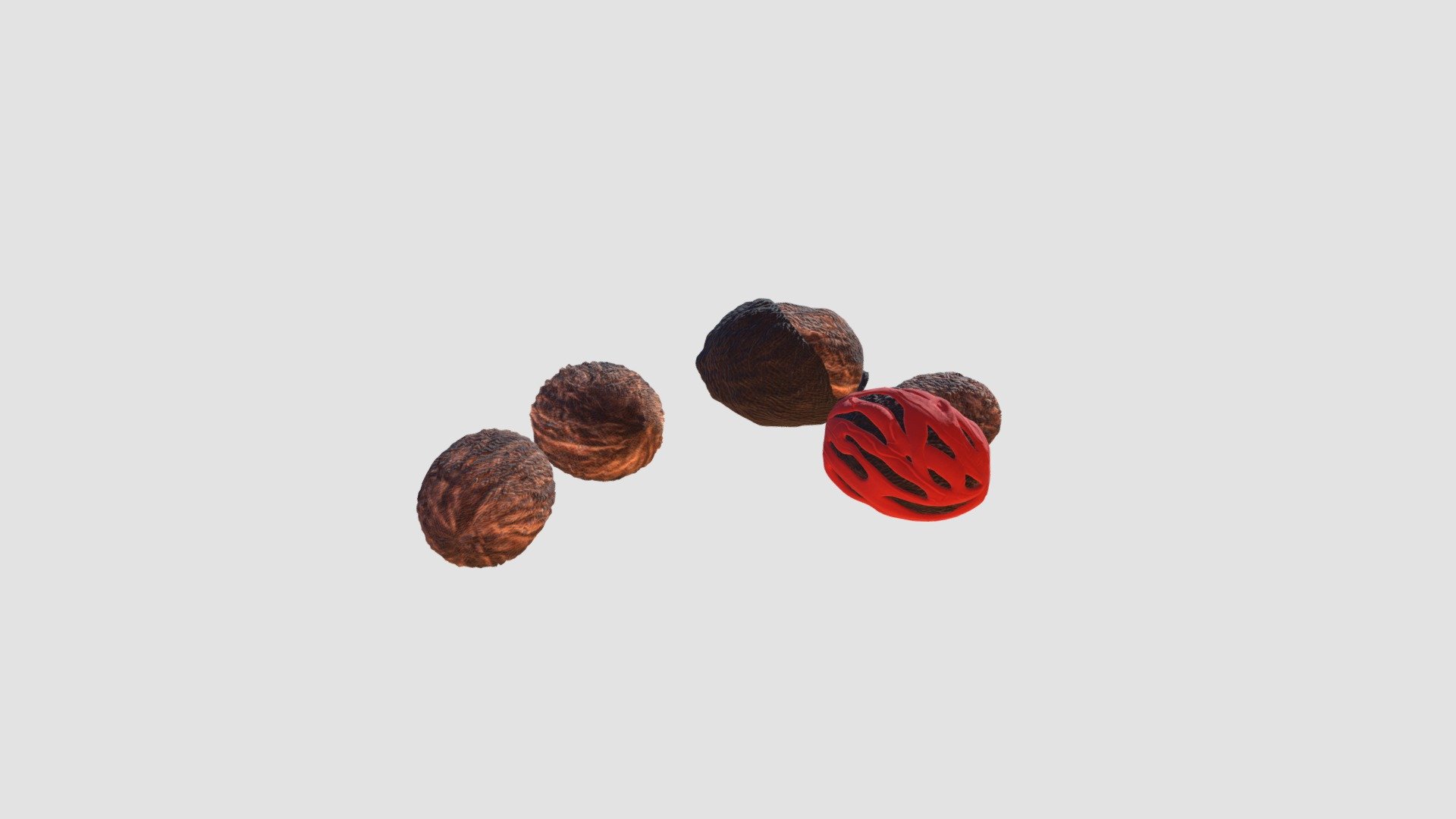 nutmeg 3d model