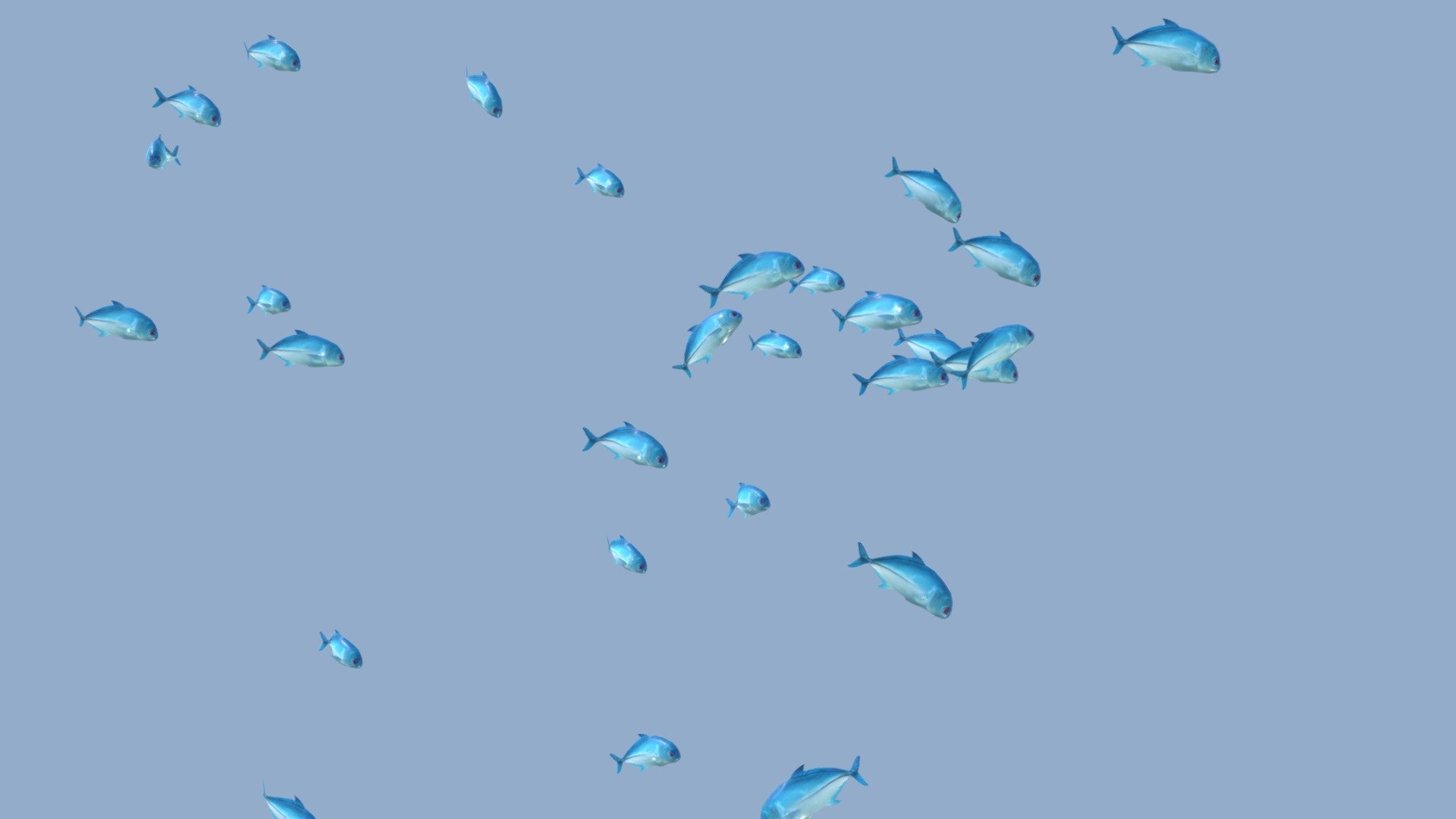 Schooling Fish 3d model