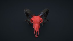 Skull of Goat 3D 💀