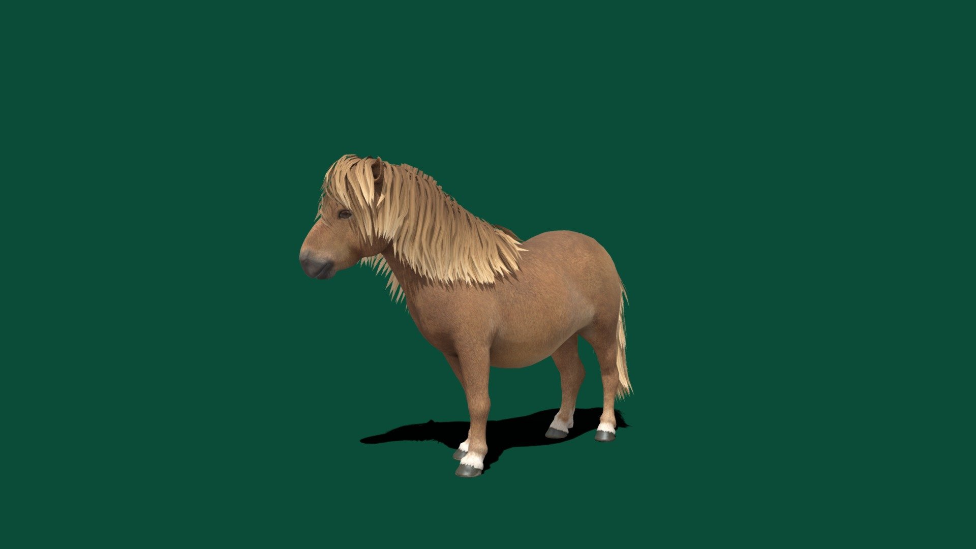 Pony(Test) 3d model