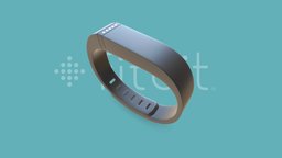 Fitbit Flex