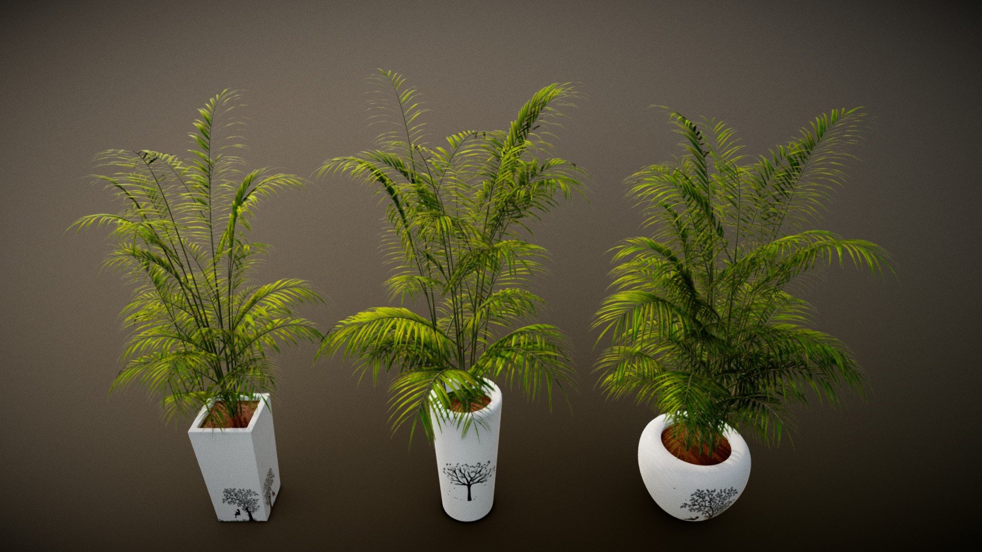 Potted Palm Plants 3d model