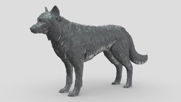 Border Collie V3 3D print model