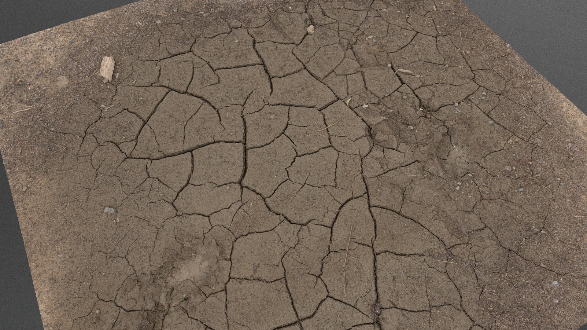 Cracked mud dirt 3d model