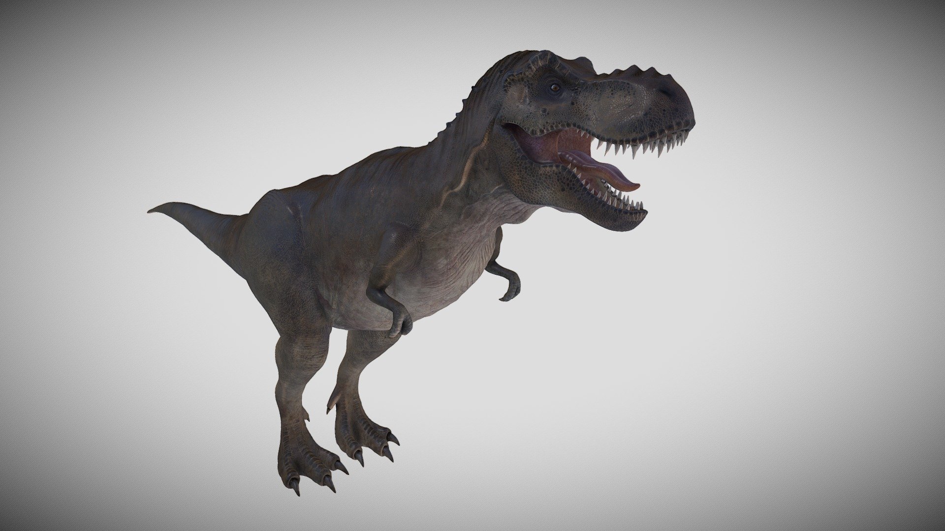 T-rex 3d model