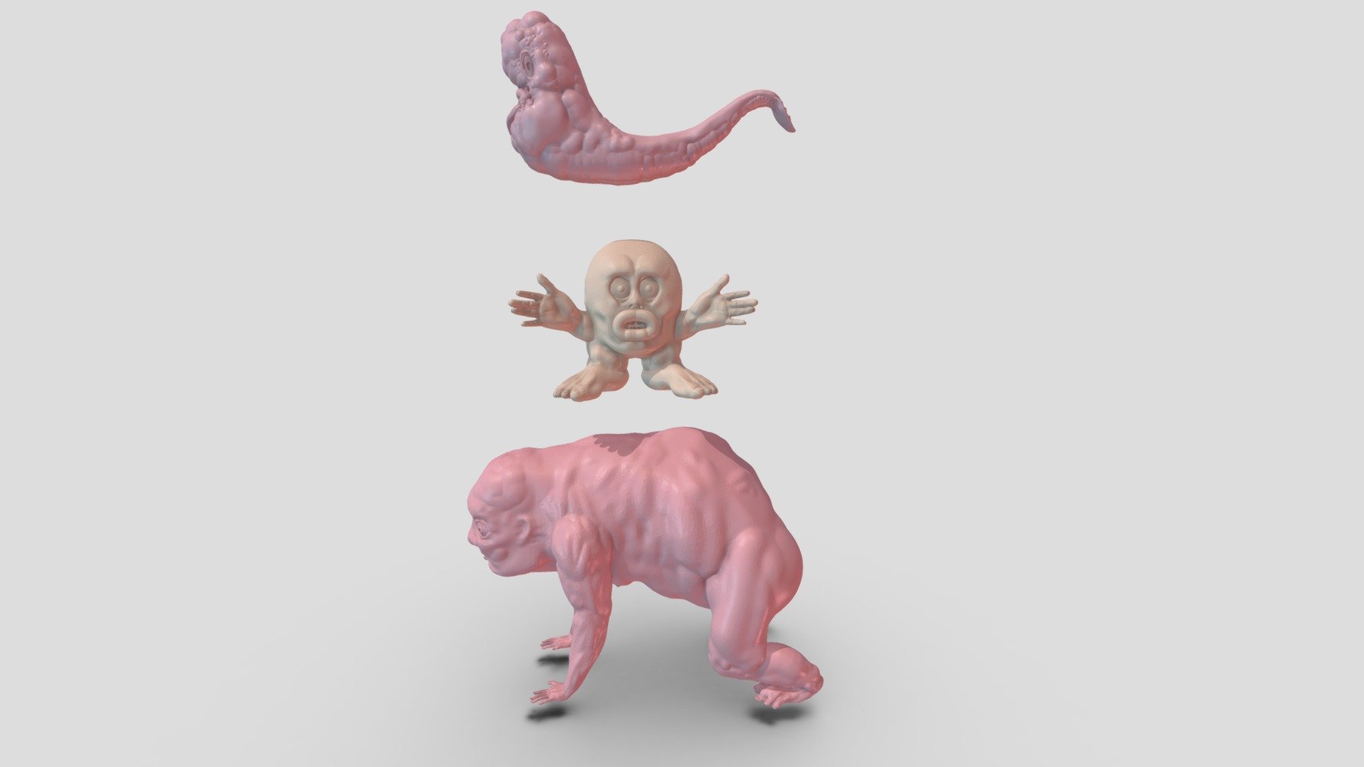 Evolution 3d model