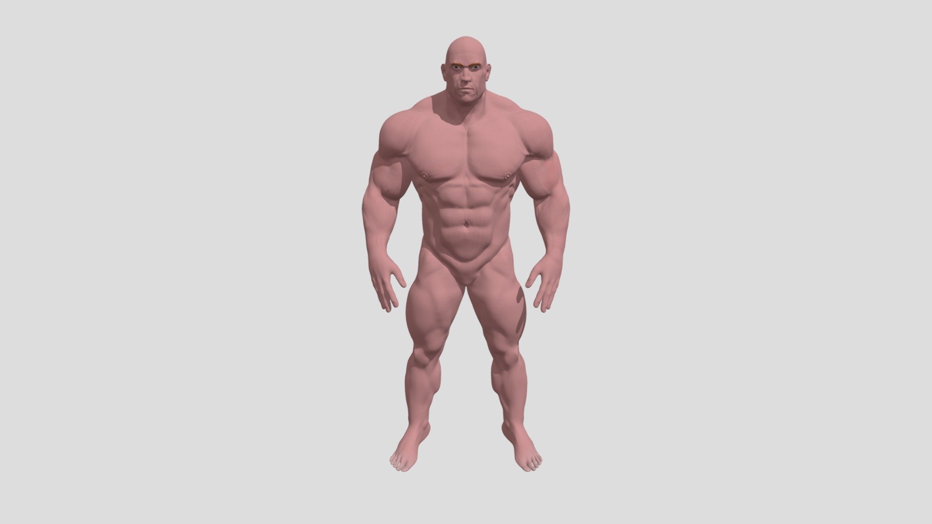 base mesh bodybuilder 3d model