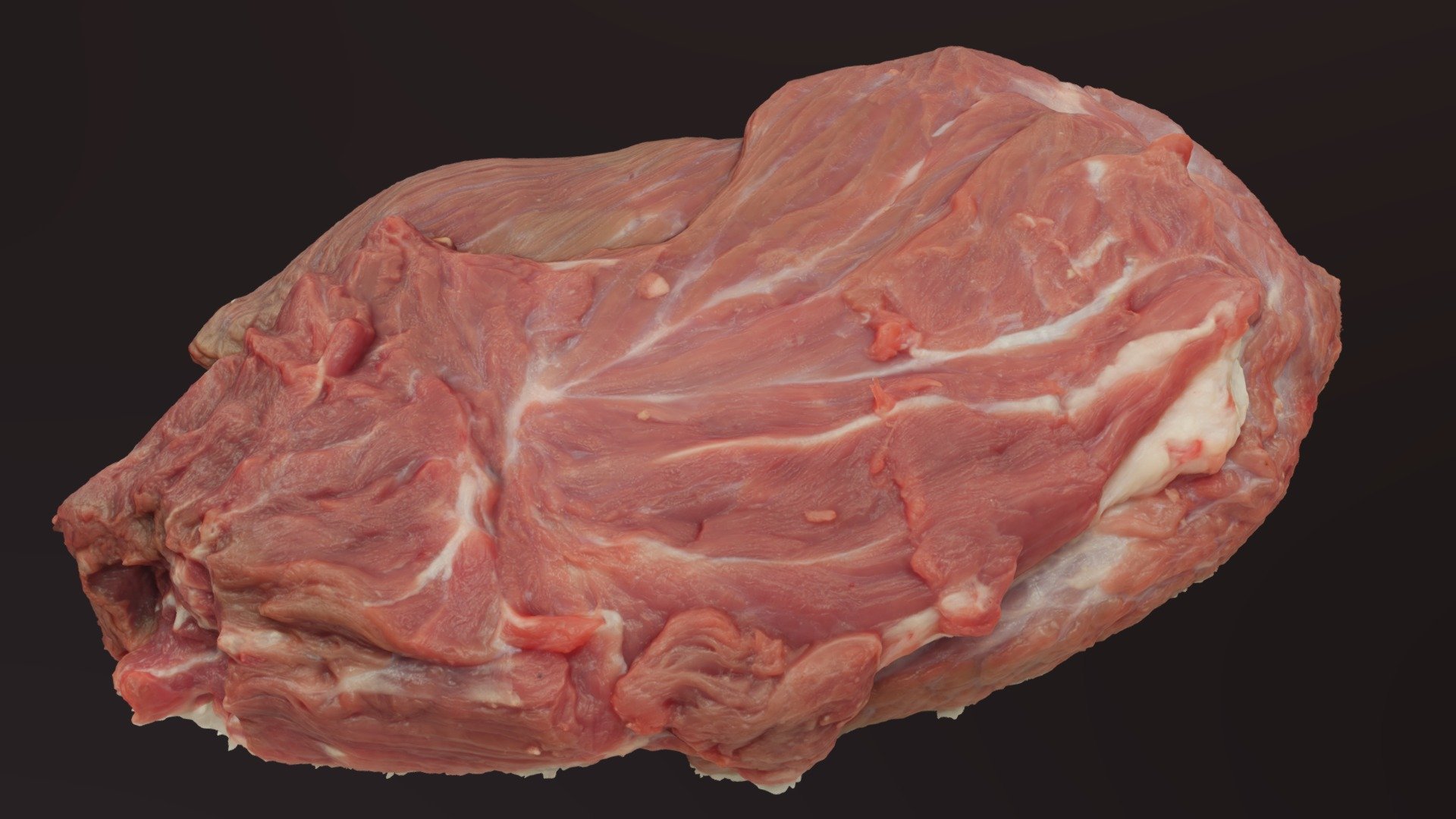 raw meat 3d model