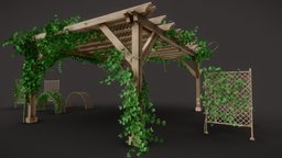 Garden Lattice And Pergola with Vines/Ivy