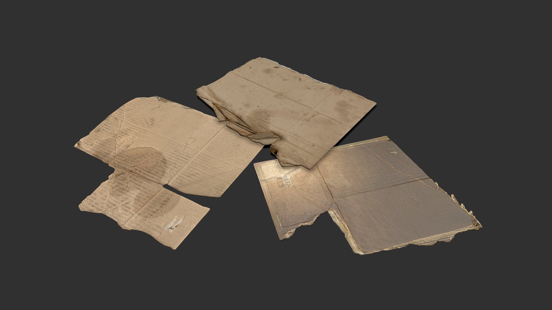 Cardboard Sheet 3d model