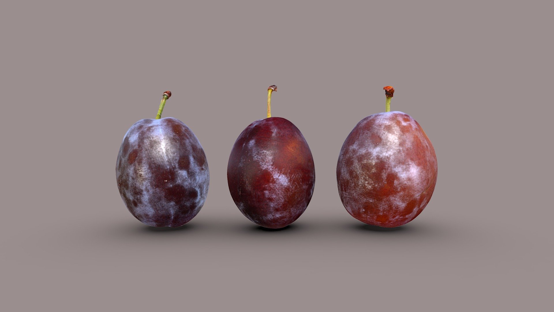 Prune Plums 3d model