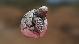 Turtle Stone Statue