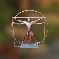 The Vitruvian Man