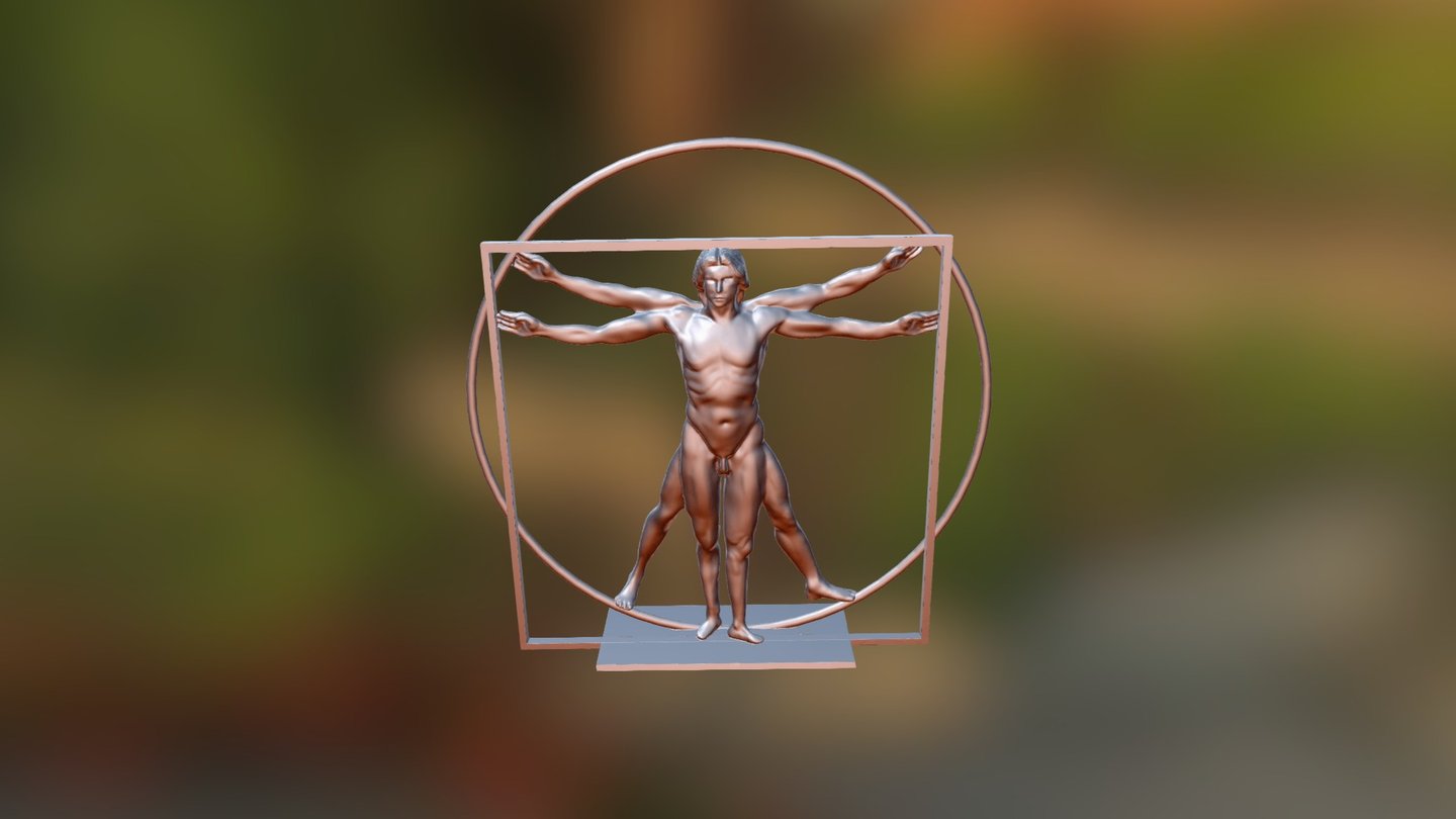 The Vitruvian Man 3d model