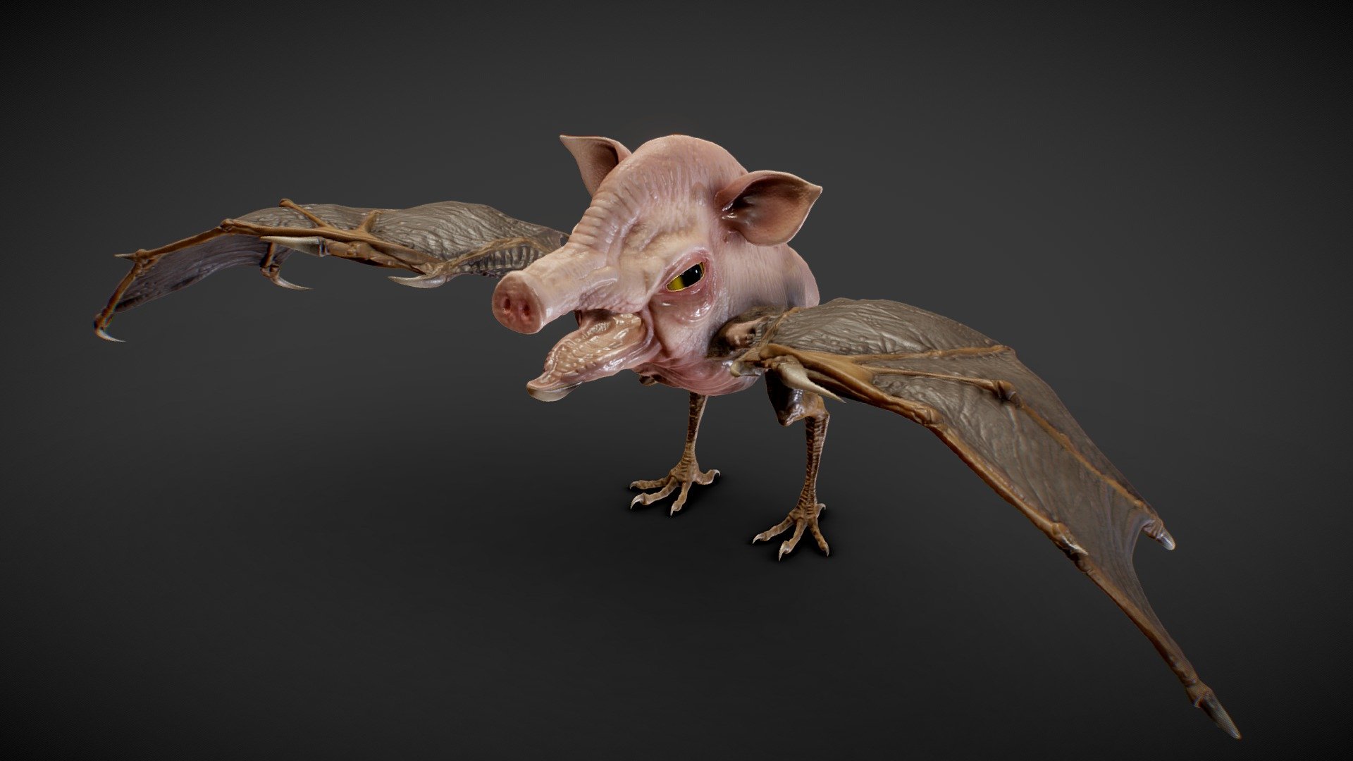 Airpig 3d model