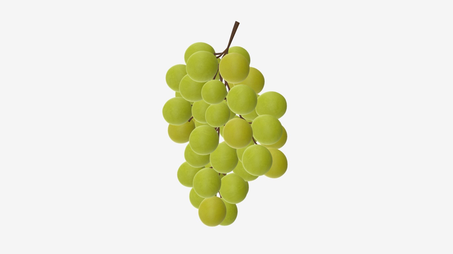 Grapes 06 3d model